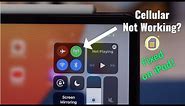 iPad's: How to Fix "iPad Cellular Data Not Working"