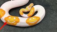 A selective python breeder spent 8 years making an Emoji snake