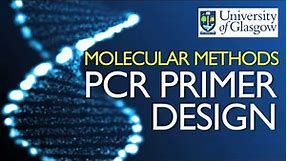 PCR Primer Design