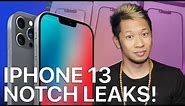 iPhone 13 Leak Reveals Smaller Notch + New iMacs Discovered in Beta!