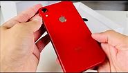 iPhone XR Amazon Renewed Review (2020)