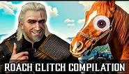 Roach GLITCH Compilation - The Witcher 3: Wild Hunt
