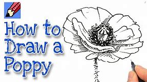 How to draw a Poppy Real Easy
