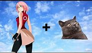 Naruto Characters Cat Mode