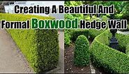 Creating a Beautiful and Formal Boxwood Hedge Wall | Boxwood Care