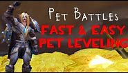 Fast & Easy Battle Pet Leveling