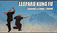 Leopard Kung Fu - Training, Conditioning and Techniques