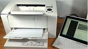 Fuji Xerox DocuPrint P255 dw Printing Test #1