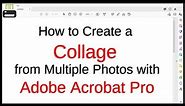 How to Create a Collage from Multiple Photos & Print or Save as a PDF with Adobe Acrobat Pro