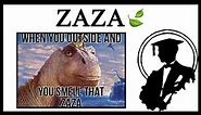 What Does "When You Outside And Smell That Zaza" Mean?