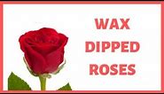 Wax Dipped Roses - How To Preserve Flowers - Preserved Roses DIY