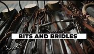 Tack Talk | Introduction to Bridles and Bits