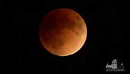 2018 Total Lunar Eclipse Timelapse | Griffith Observatory