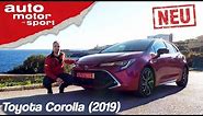 Toyota Corolla (2019): Das Mittel gegen Golf-Langeweile? – Review/Fahrbericht | auto motor & sport