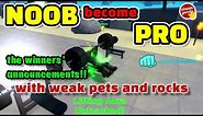 Noob go pro with pets and weak rocks! The Winners announcements🎉🎇! | Roblox Muscle Legends