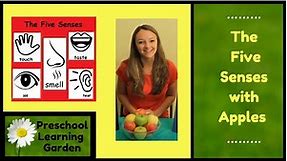 The Five Senses with Apples, The parts of an apple, Preschool Educational Video