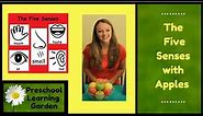 The Five Senses with Apples, The parts of an apple, Preschool Educational Video