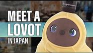 Meet a LOVOT in Japan