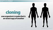 Human Cloning Definition, Pros & Cons