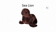 Wild Republic Wild Calls Sea Lion Plush, Stuffed Animal, Plush Toy, Kids Gifts, Zoo Animal, 8