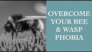 Simple Tips To Overcome Your Bee/Wasp Phobia I The Speakmans