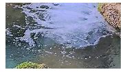 HDR nature 4K Discover the Hidden Gems of Miljacka River: 38 #miljacka #sarajevobosnia #sarajevo