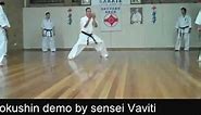 Japanese kyokushin kata demo