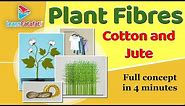 Plant Fibres - Cotton and Jute Class 6 Fibre to Fabrics | CBSE - LearnFatafat