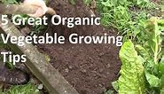 5 of the Best Organic Vegetable Growing tips