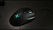 Budget RGB Gaming Mouse Under $50 Review - BlackWeb