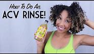How To Do An ACV Rinse (Apple Cider Vinegar) on Natural Hair | BiancaReneeToday
