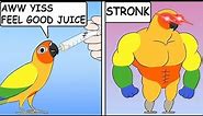 Funny Comics With A Parrot Twist #1 | Webcomic Dub