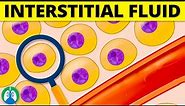 Interstitial Fluid (Medical Definition) | Quick Explainer Video