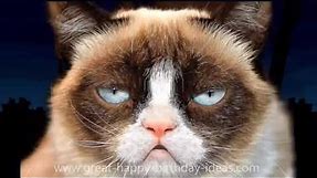 Grumpy Cat Happy Birthday Wishes - Funny Singing Cat Song