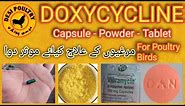 Doxycycline use for Poultry Birds| Runnig Eye Nose Mouth Treatment |Bacteria Killer| Desi Poultry |