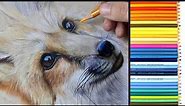 REALISTIC COLORED PENCIL DRAWING of a Fox || DRAWING TUTORIAL