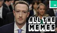 Mr. Zuckerberg - All The Memes