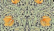 HAOKHOME 94028-3 Vintage Floral Wallpaper Peel and Stick Botanical Green/Yellow/Black Wall Murals Home Kitchen Bedroom Decor by William Morris 17.7in x 9.8ft