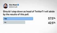 Elon Musk stakes Twitter CEO job on poll