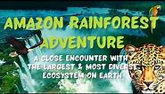 Amazon Rainforest Adventure: A Close Encounter with the Most Diverse Ecosystem on Earth