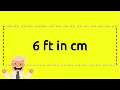 6 ft in cm
