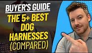 TOP 5 BEST DOG HARNESSES - Best Dog Harness Review (2023)