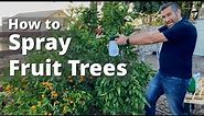 Spraying Fruit Trees and Garden Plants for Insects, Fungus, & Disease | Come, Let us Spray!