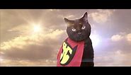 Super Hero Cat in You (Official Music Video) - N2 the Talking Cat S4 Ep1