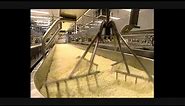 HOW IT'S MADE - Mozzerella Cheese (UK Version)