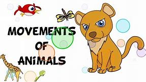 Movements of Animals | Science Lesson in Kindergarten