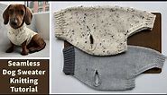 How to make a seamless dog sweater: A step-by-step knitting tutorial