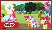 Big Mac Dresses as Orchard Blossom (Brotherhooves Social) | MLP: FiM [HD]