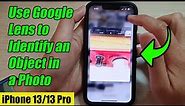 iPhone 13/13 Pro: How to Use Google Lens to Identify an Object in a Photo