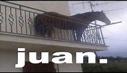 Juan horse( juan meme caballo) juan the horse balcony